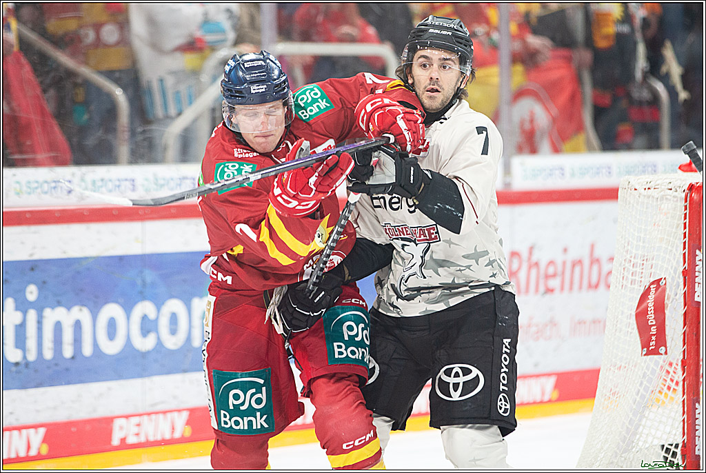PENNY DEL; Duesseldorfer EG- Koelner Haie; Duesseldorf, 25.02.2024