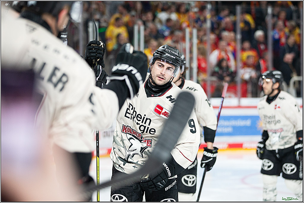 PENNY DEL; Duesseldorfer EG- Koelner Haie; Duesseldorf, 25.02.2024