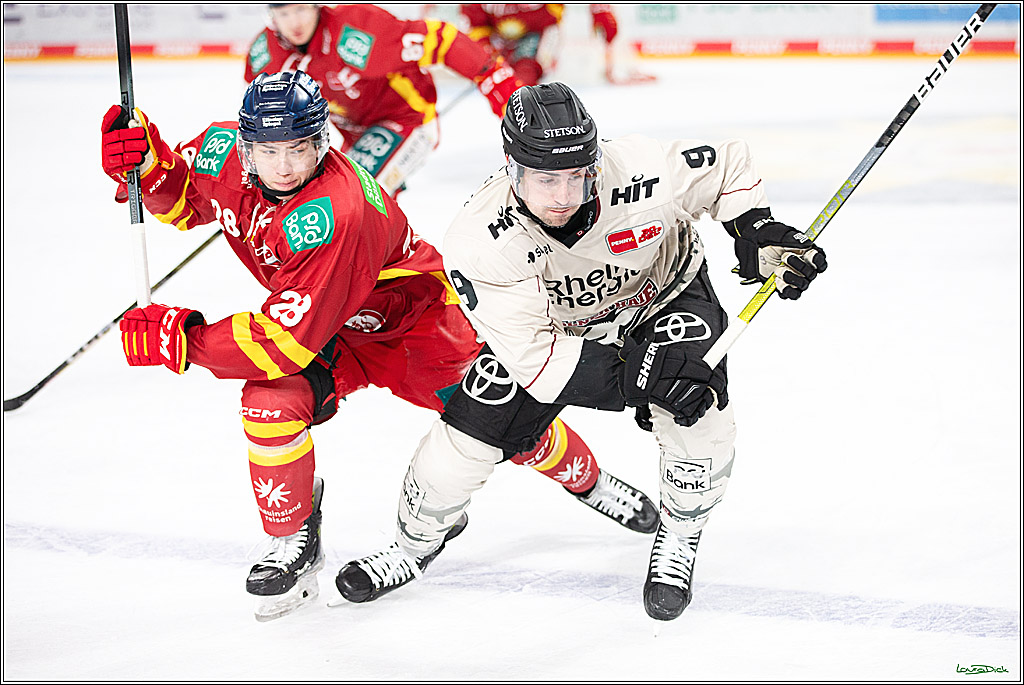 PENNY DEL; Duesseldorfer EG- Koelner Haie; Duesseldorf, 25.02.2024