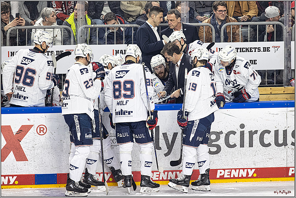 PENNY DEL: Kölner Haie - Adler Mannheim; Köln, 08.03.2024