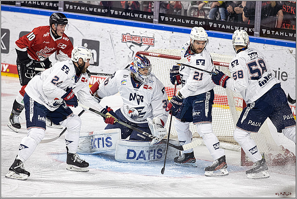 PENNY DEL: Kölner Haie - Adler Mannheim; Köln, 08.03.2024