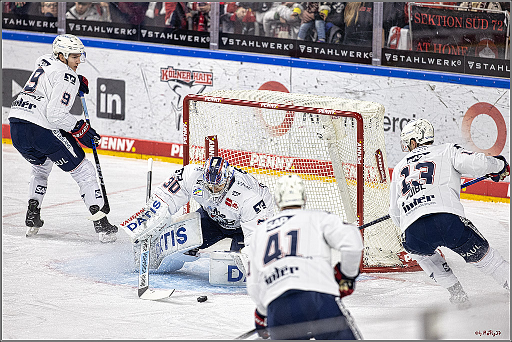 PENNY DEL: Kölner Haie - Adler Mannheim; Köln, 08.03.2024