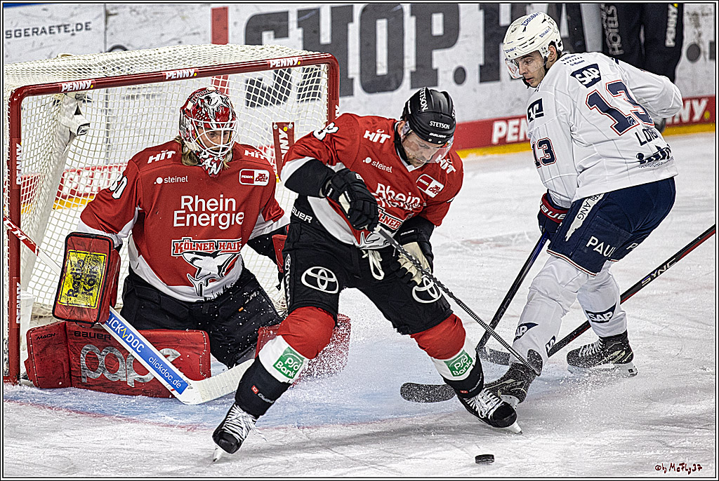 PENNY DEL: Kölner Haie - Adler Mannheim; Köln, 08.03.2024