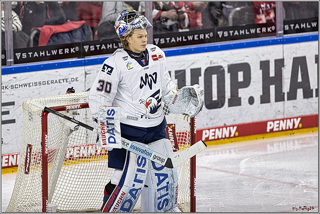 PENNY DEL: Kölner Haie - Adler Mannheim; Köln, 08.03.2024