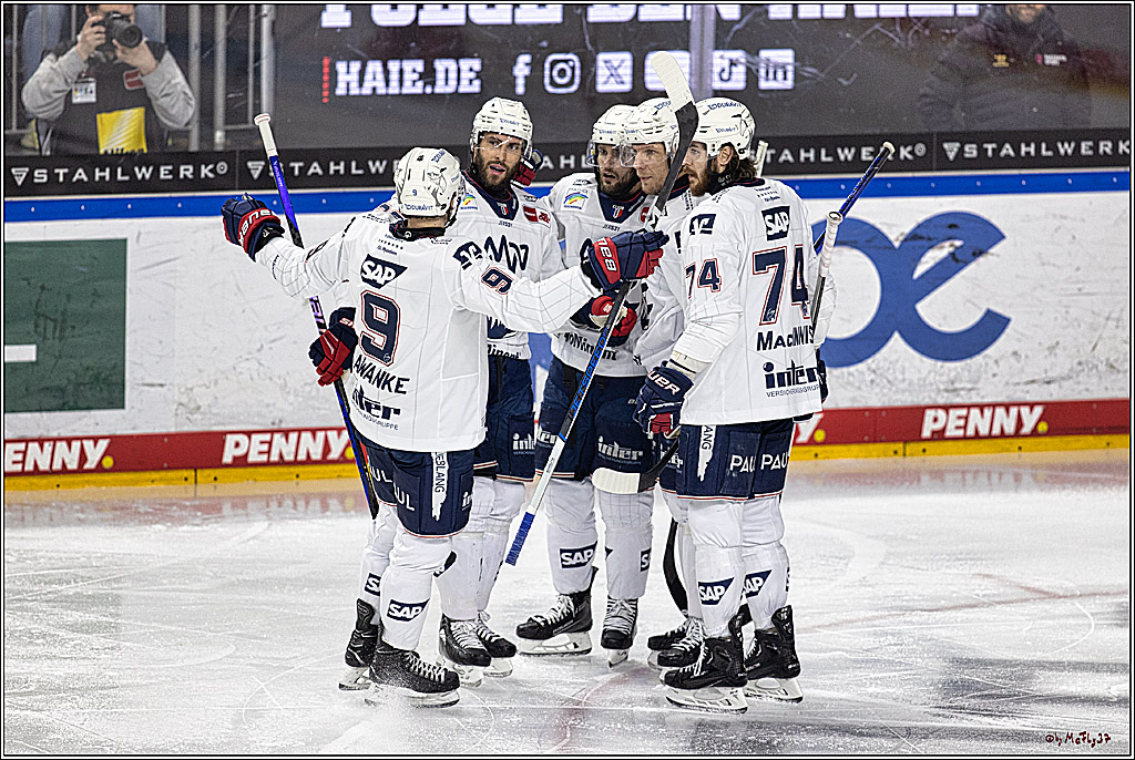 PENNY DEL: Kölner Haie - Adler Mannheim; Köln, 08.03.2024
