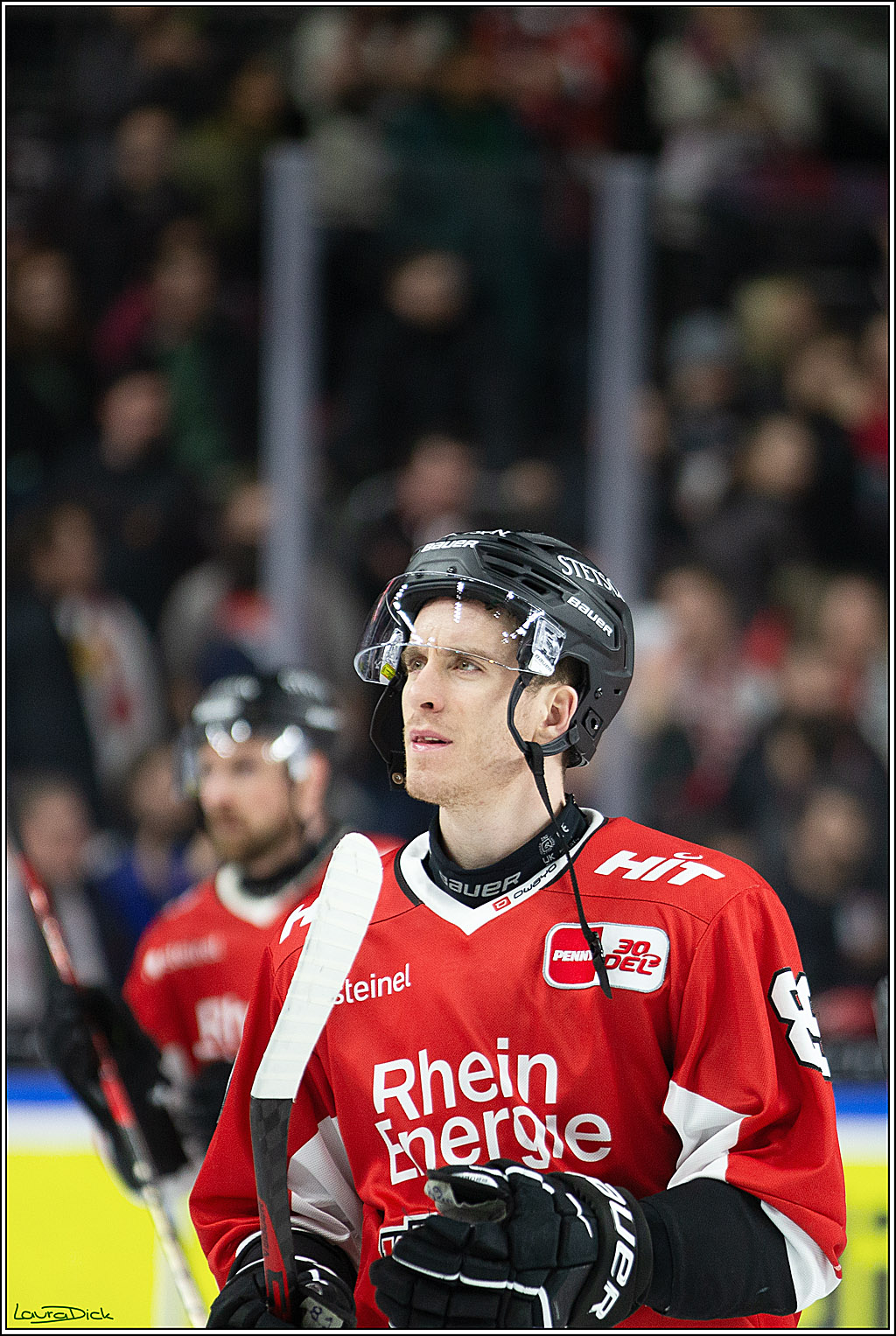 PENNY DEL; Koelner Haie- Adler Mannheim; Koeln, 08.03.2024