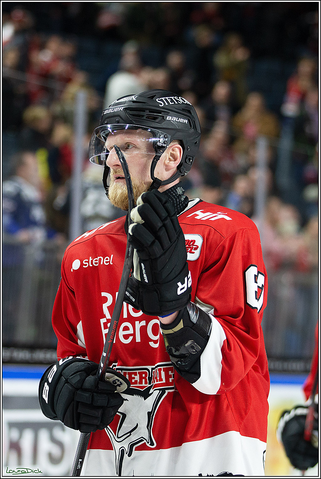 PENNY DEL; Koelner Haie- Adler Mannheim; Koeln, 08.03.2024