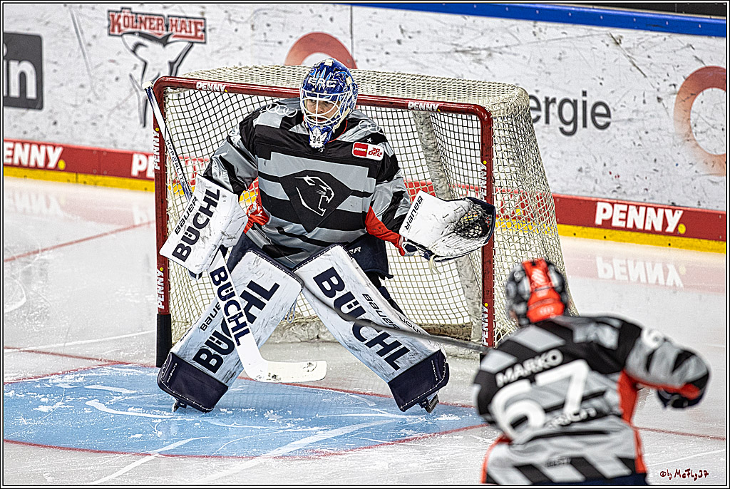 PENNY DEL 1. Playoff-Runde: Kölner Haie - ERC Ingolstadt; Köln, 13.03.2024
