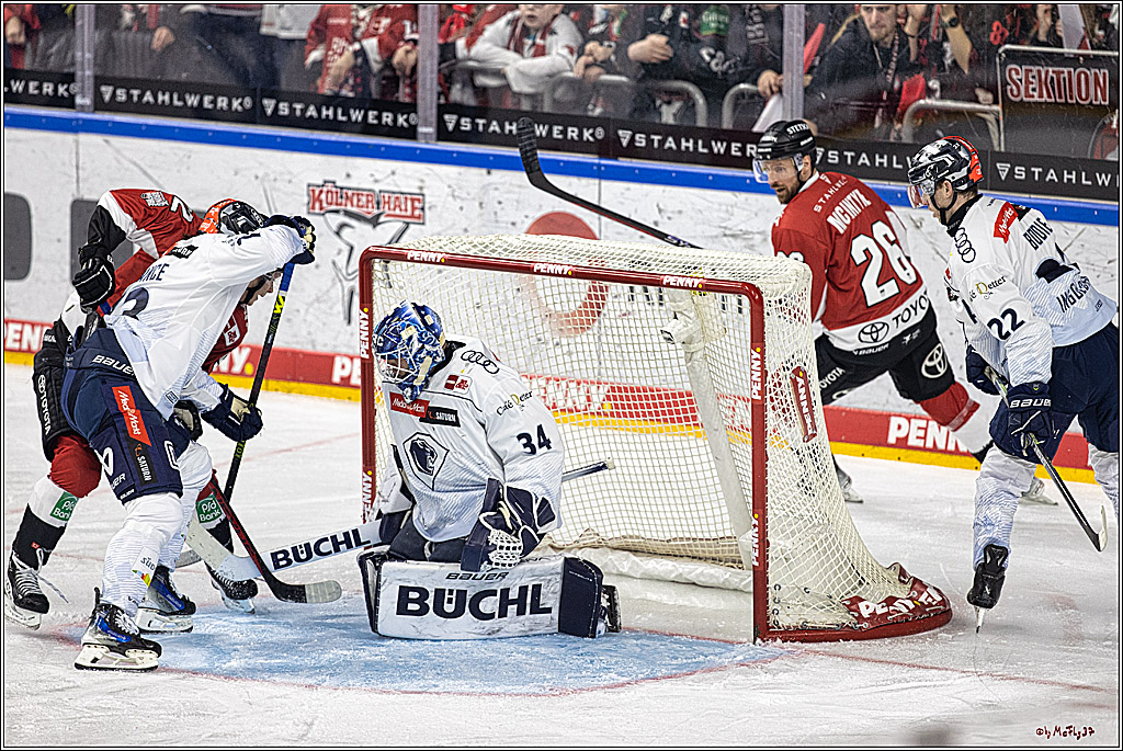 PENNY DEL 1. Playoff-Runde: Kölner Haie - ERC Ingolstadt; Köln, 13.03.2024