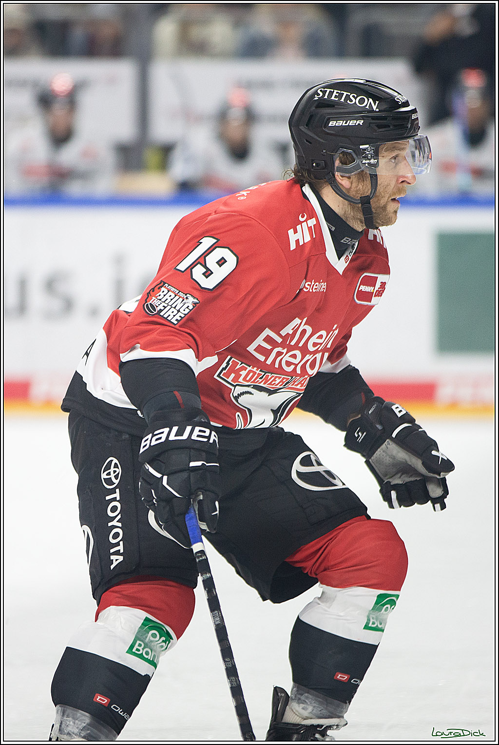PENNY DEL; Koelner Haie- ERC Ingolstadt; Koeln, 13.03.2024