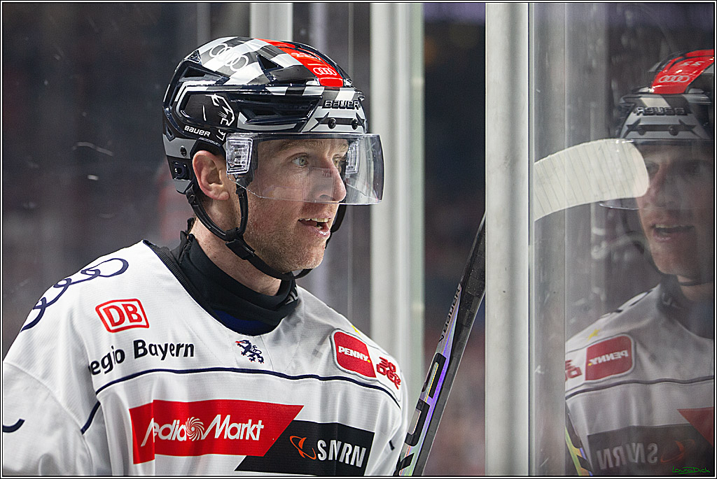 PENNY DEL; Koelner Haie- ERC Ingolstadt; Koeln, 13.03.2024