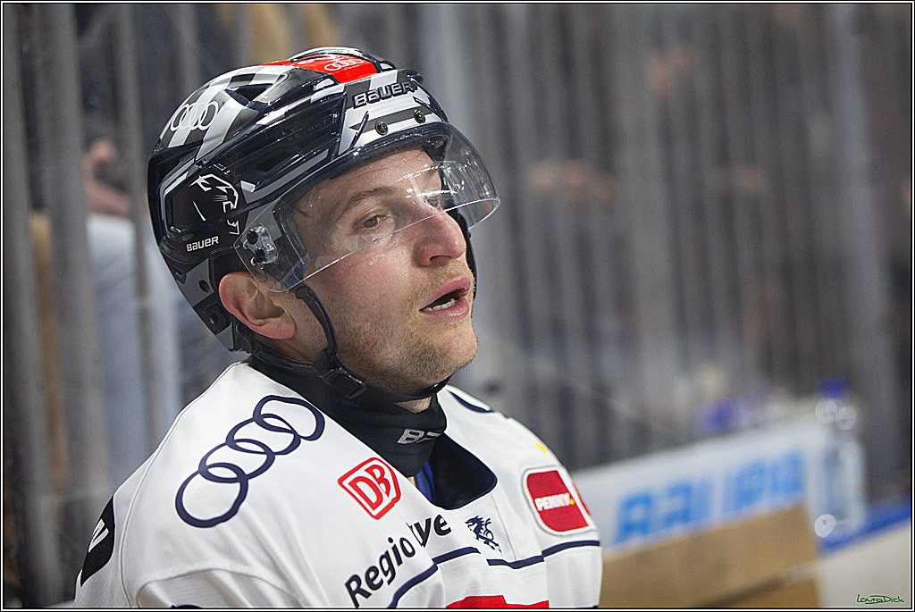 PENNY DEL; Koelner Haie- ERC Ingolstadt; Koeln, 13.03.2024