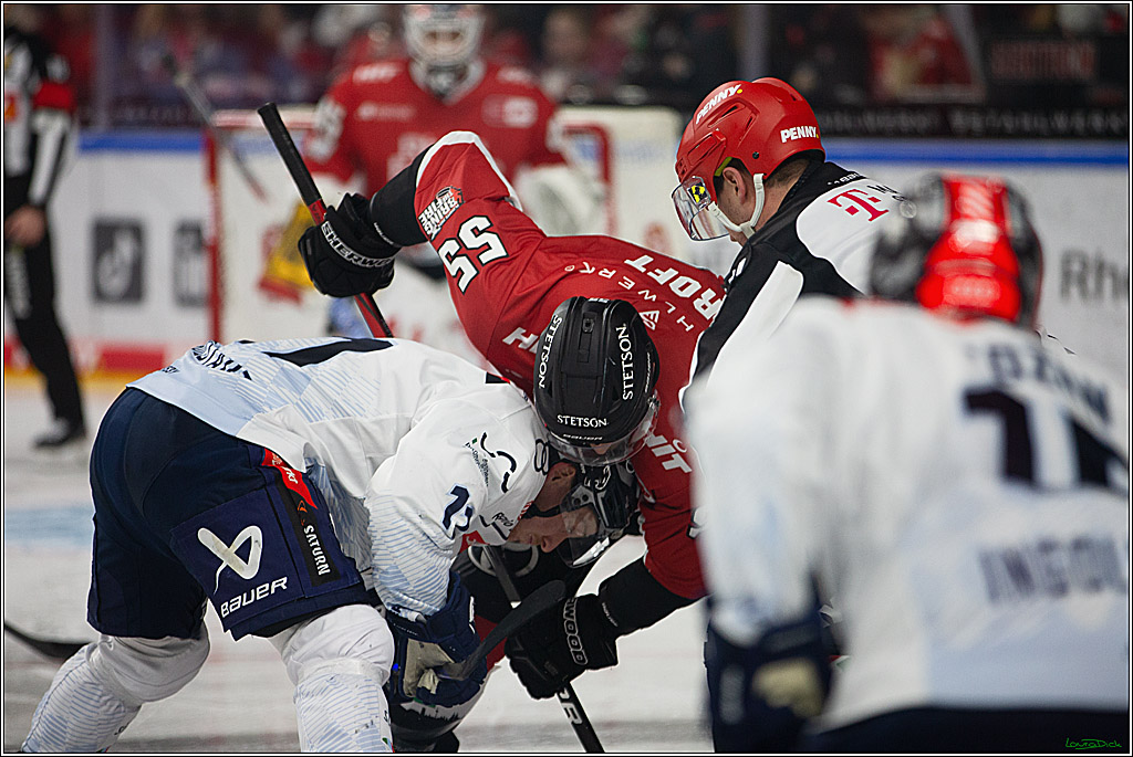PENNY DEL; Koelner Haie- ERC Ingolstadt; Koeln, 13.03.2024