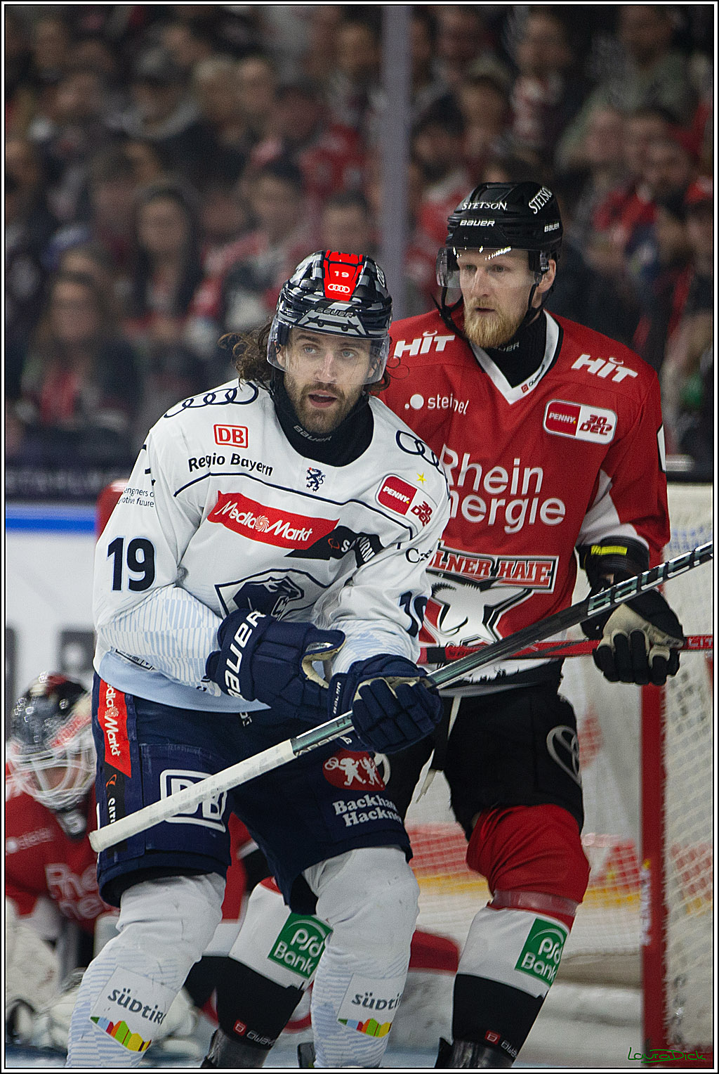 PENNY DEL; Koelner Haie- ERC Ingolstadt; Koeln, 13.03.2024