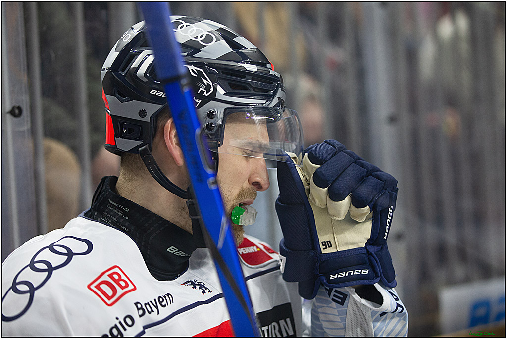 PENNY DEL; Koelner Haie- ERC Ingolstadt; Koeln, 13.03.2024
