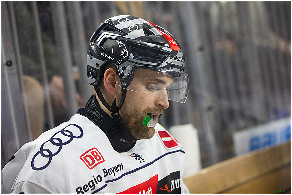 PENNY DEL; Koelner Haie- ERC Ingolstadt; Koeln, 13.03.2024