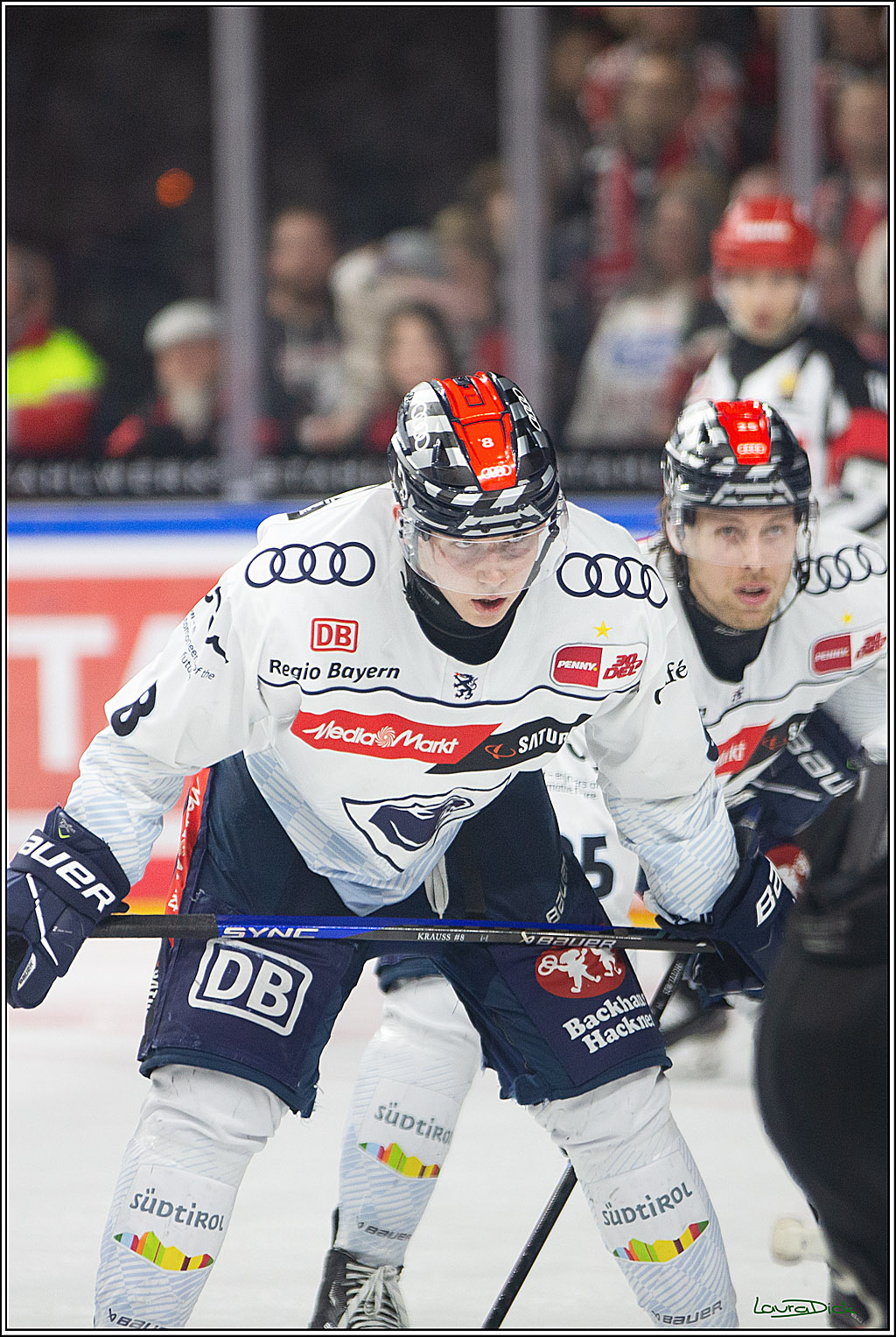 PENNY DEL; Koelner Haie- ERC Ingolstadt; Koeln, 13.03.2024