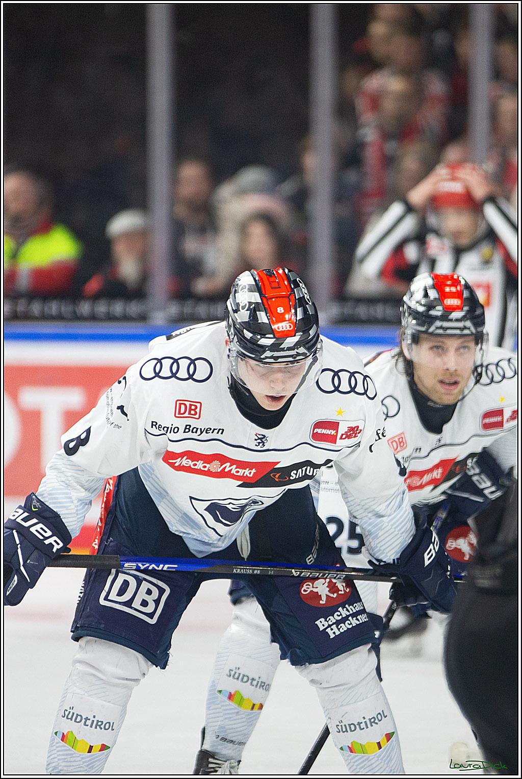 PENNY DEL; Koelner Haie- ERC Ingolstadt; Koeln, 13.03.2024