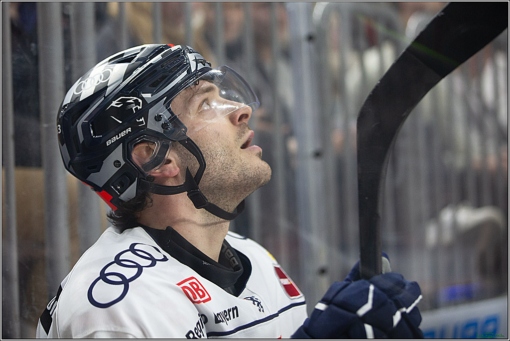 PENNY DEL; Koelner Haie- ERC Ingolstadt; Koeln, 13.03.2024