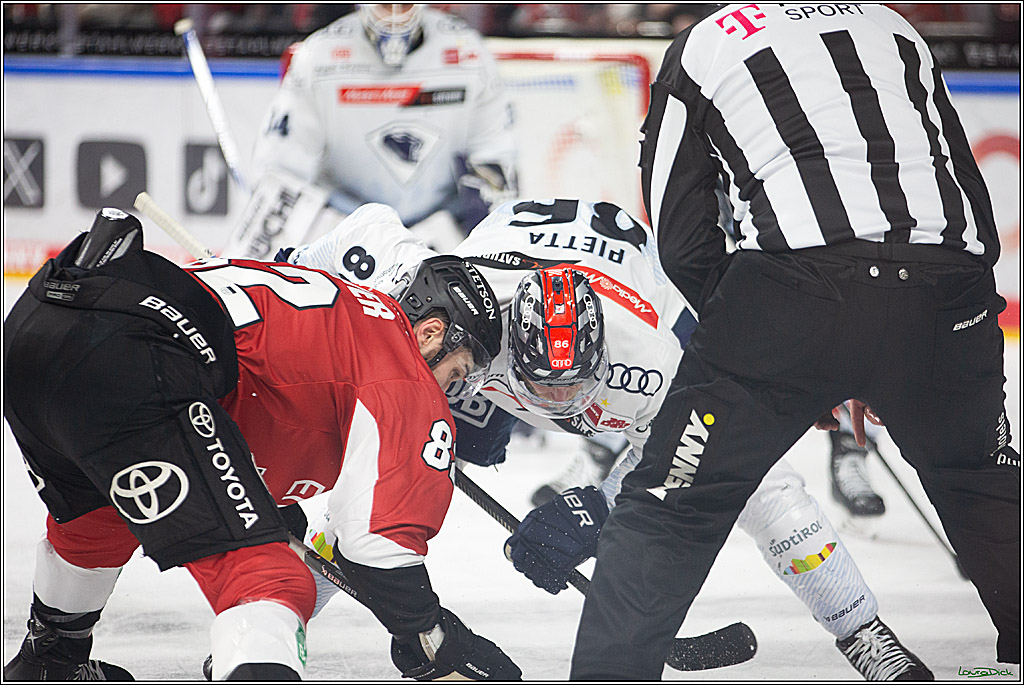 PENNY DEL; Koelner Haie- ERC Ingolstadt; Koeln, 13.03.2024