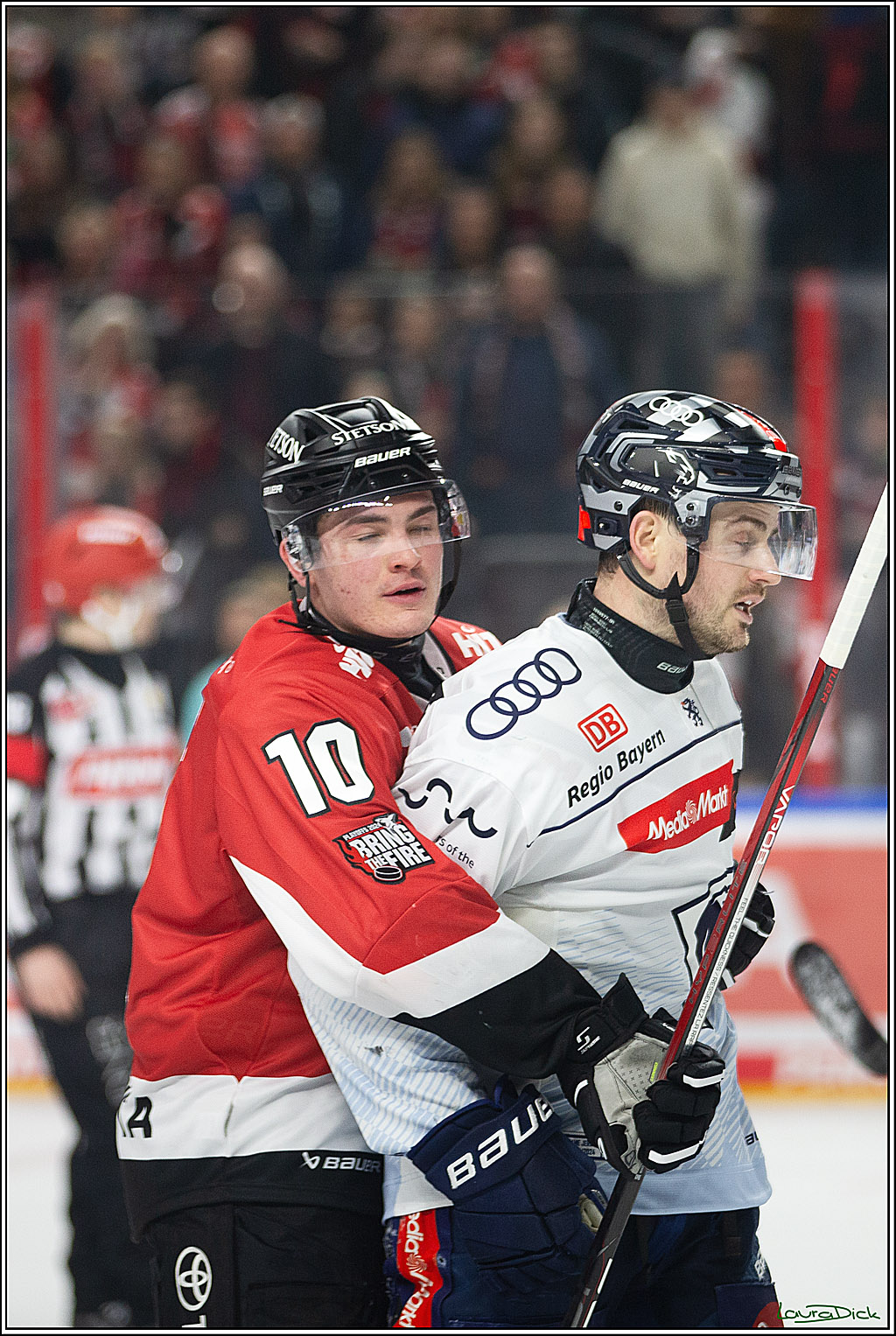 PENNY DEL; Koelner Haie- ERC Ingolstadt; Koeln, 13.03.2024