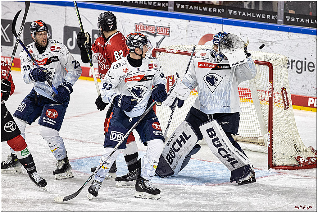 PENNY DEL 1. Playoff-Runde: Kölner Haie - ERC Ingolstadt; Köln, 14.03.2024