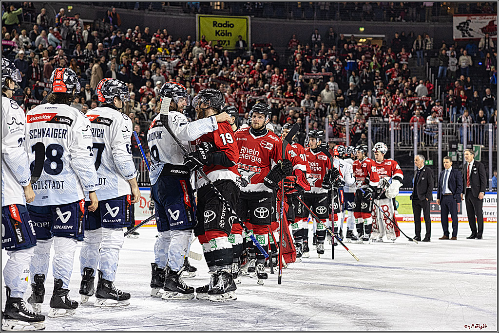 PENNY DEL 1. Playoff-Runde: Kölner Haie - ERC Ingolstadt; Köln, 14.03.2024