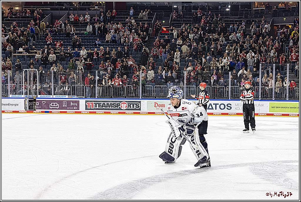 PENNY DEL 1. Playoff-Runde: Kölner Haie - ERC Ingolstadt; Köln, 14.03.2024