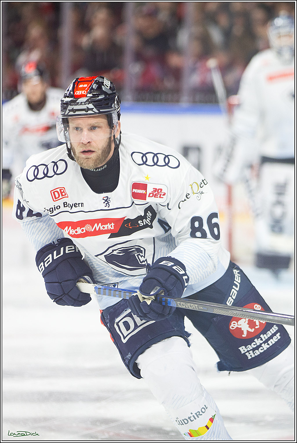 PENNY DEL; Koelner Haie- ERC Ingolstadt; Koeln, 14.03.2024