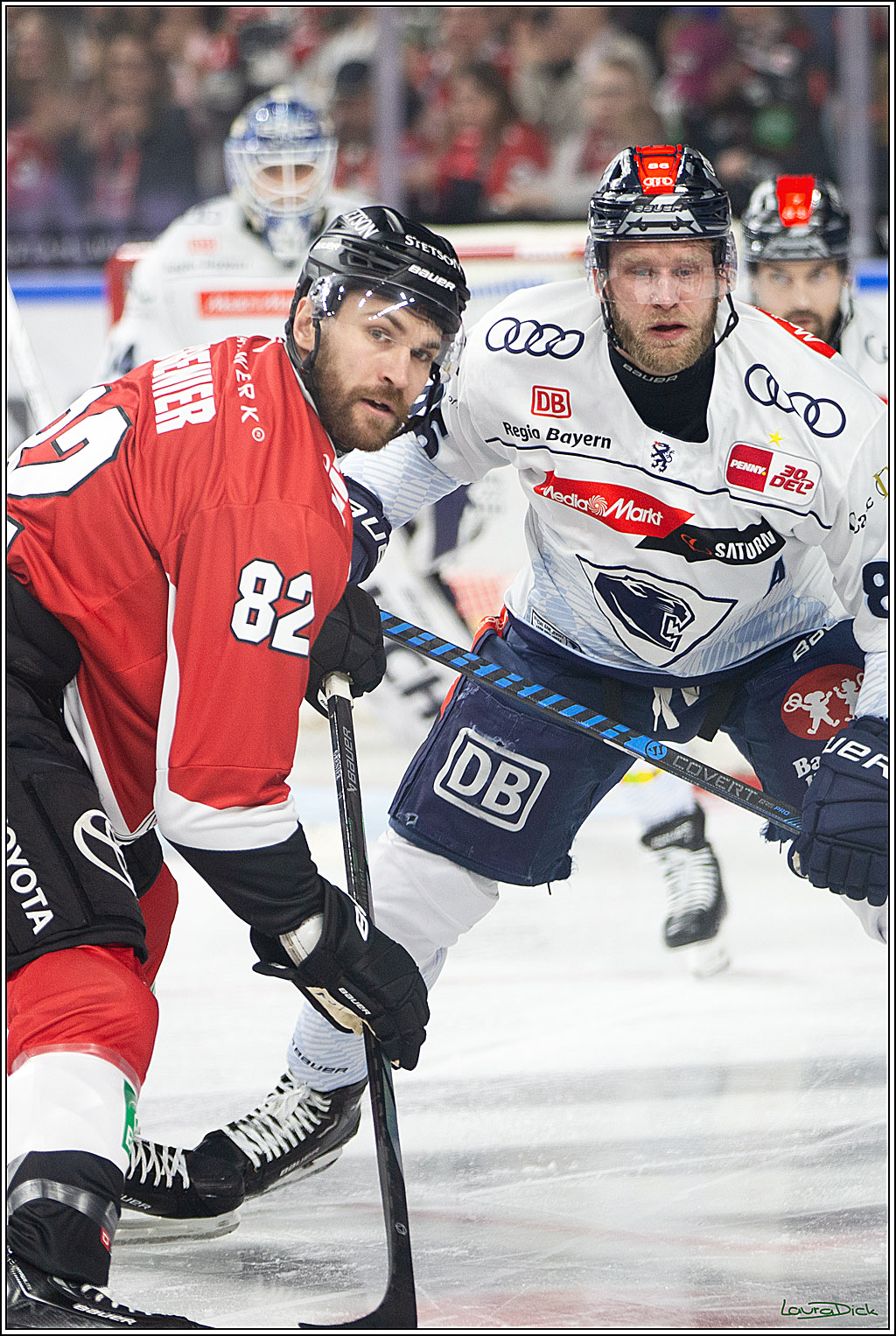PENNY DEL; Koelner Haie- ERC Ingolstadt; Koeln, 14.03.2024