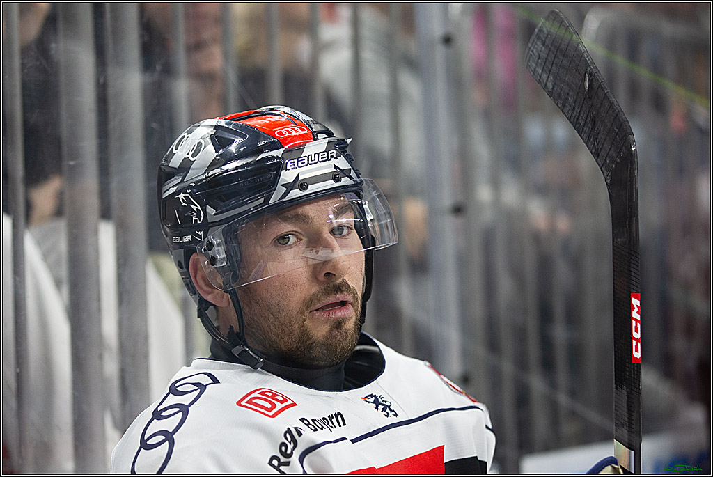 PENNY DEL; Koelner Haie- ERC Ingolstadt; Koeln, 14.03.2024