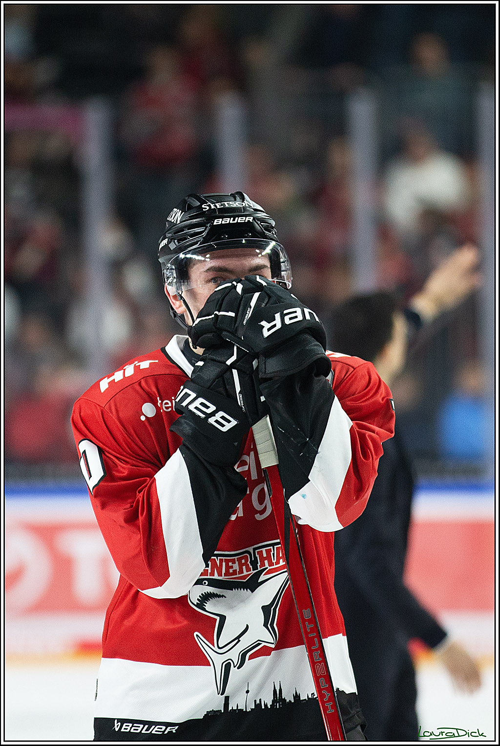 PENNY DEL; Koelner Haie- ERC Ingolstadt; Koeln, 14.03.2024