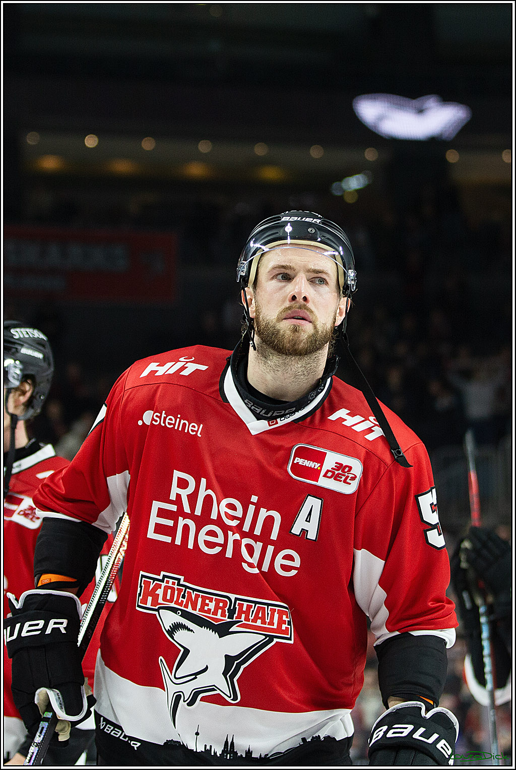 PENNY DEL; Koelner Haie- ERC Ingolstadt; Koeln, 14.03.2024