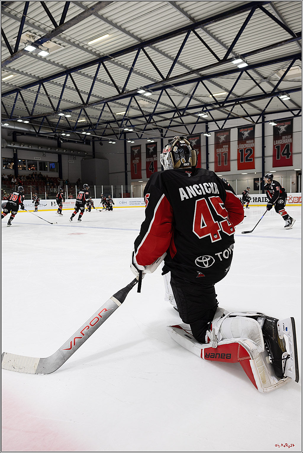 Testspiel Kölner Haie - Pioneers Vorarlberg 4-2; Köln, 08.09.2024