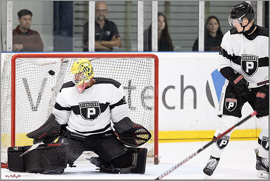 Testspiel Kölner Haie - Pioneers Vorarlberg 4-2; Köln, 08.09.2024