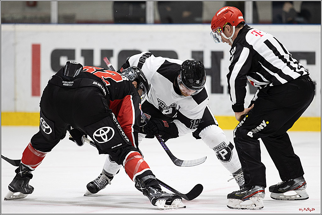 Testspiel Kölner Haie - Pioneers Vorarlberg 4-2; Köln, 08.09.2024