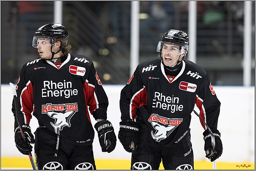 Testspiel Kölner Haie - Pioneers Vorarlberg 4-2; Köln, 08.09.2024