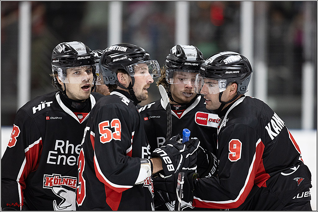 Testspiel Kölner Haie - Pioneers Vorarlberg 4-2; Köln, 08.09.2024