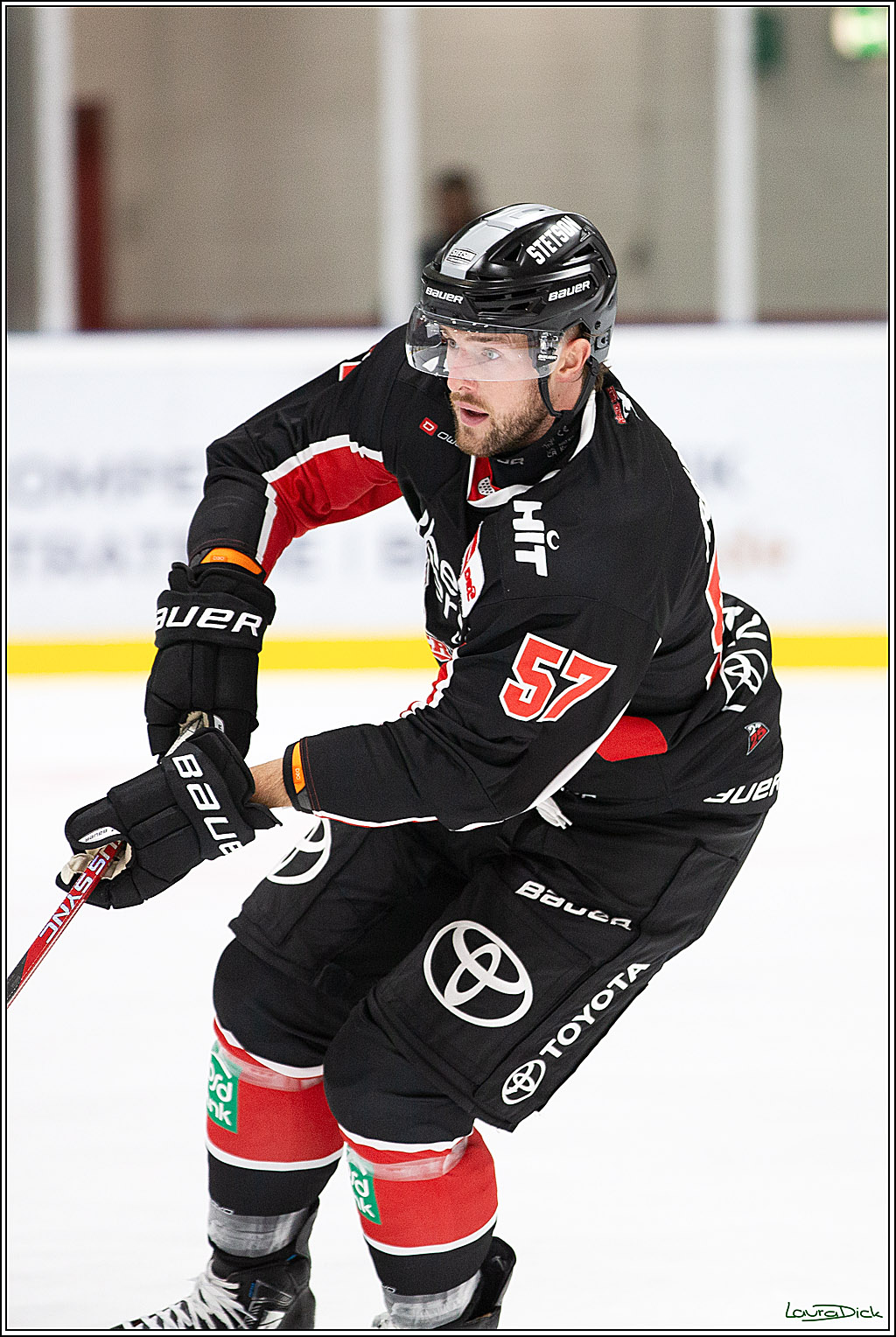 PENNY DEL;Testspiel Koelner Haie- Pioneers Vorarlberg; Koeln, 08.09.2024