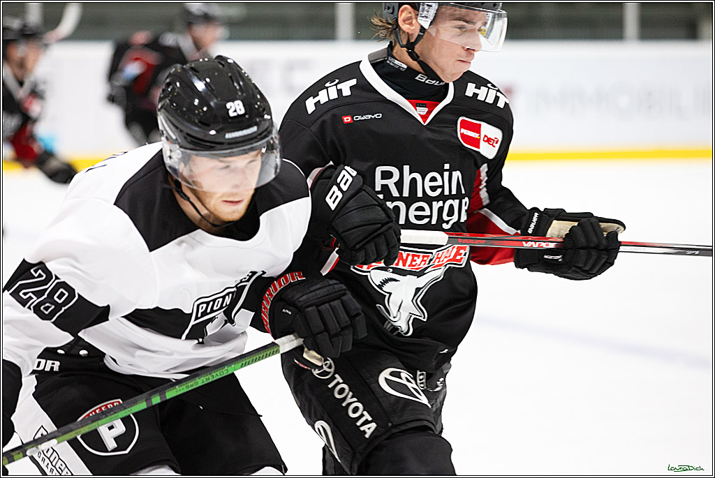 PENNY DEL;Testspiel Koelner Haie- Pioneers Vorarlberg; Koeln, 08.09.2024