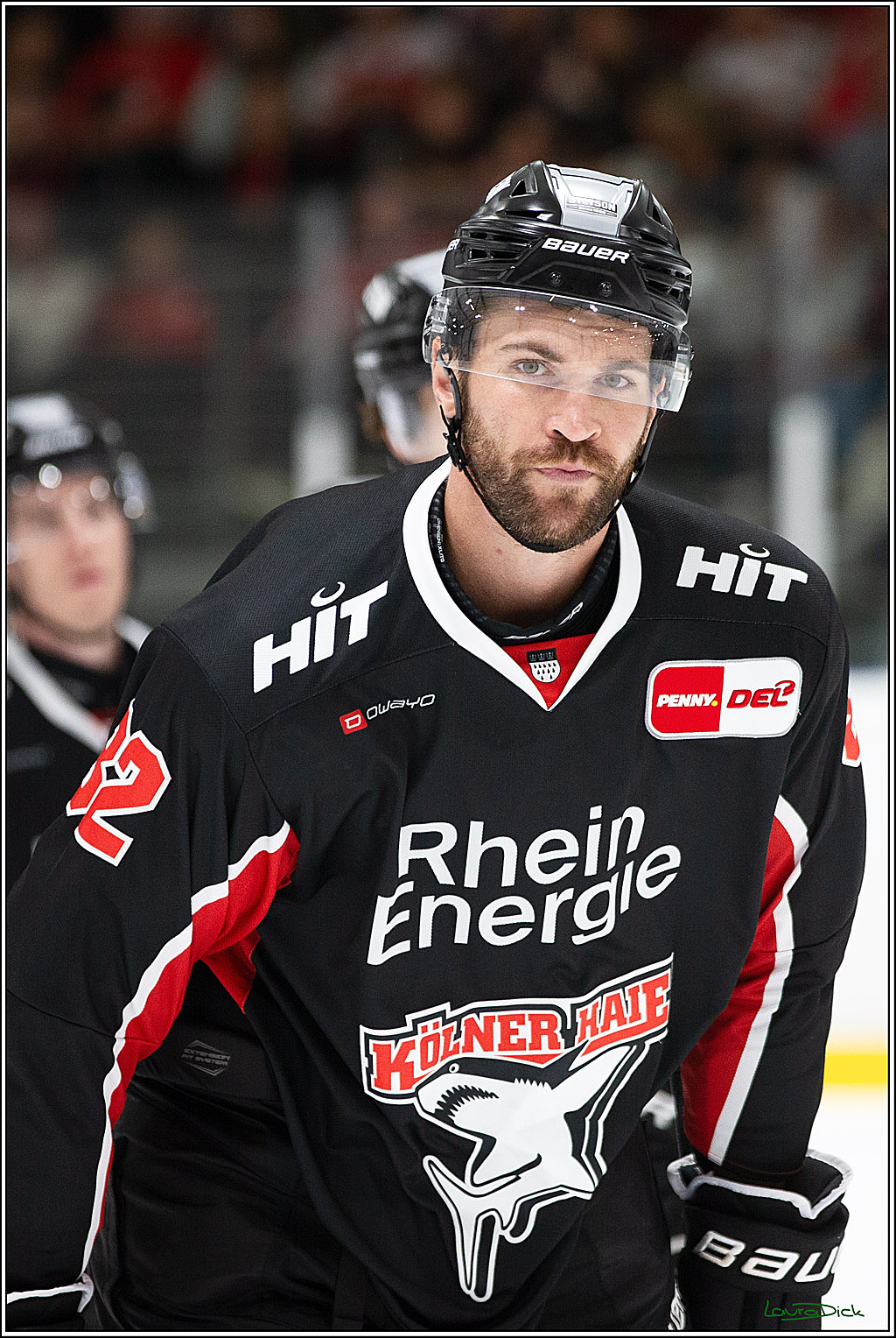 PENNY DEL;Testspiel Koelner Haie- Pioneers Vorarlberg; Koeln, 08.09.2024