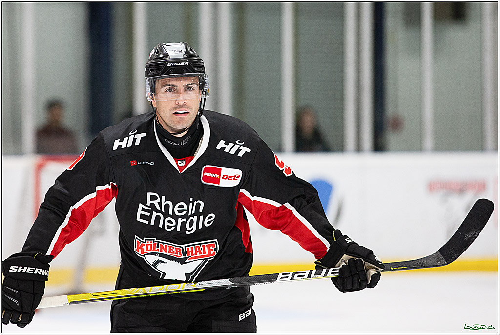 PENNY DEL;Testspiel Koelner Haie- Pioneers Vorarlberg; Koeln, 08.09.2024