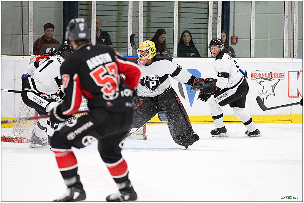 PENNY DEL;Testspiel Koelner Haie- Pioneers Vorarlberg; Koeln, 08.09.2024