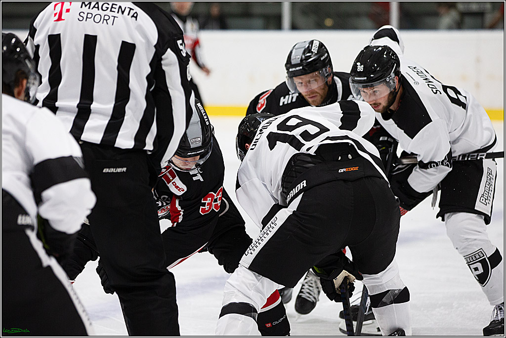PENNY DEL;Testspiel Koelner Haie- Pioneers Vorarlberg; Koeln, 08.09.2024