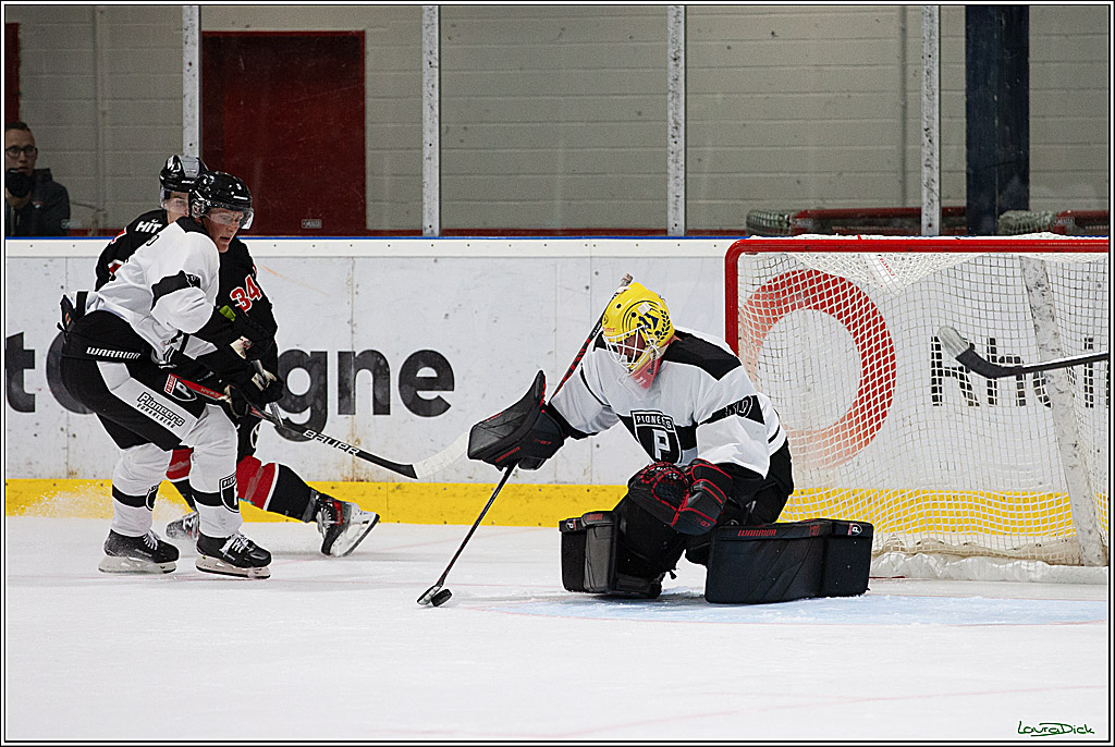 PENNY DEL;Testspiel Koelner Haie- Pioneers Vorarlberg; Koeln, 08.09.2024