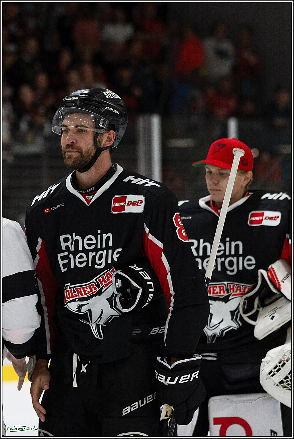 PENNY DEL;Testspiel Koelner Haie- Pioneers Vorarlberg; Koeln, 08.09.2024