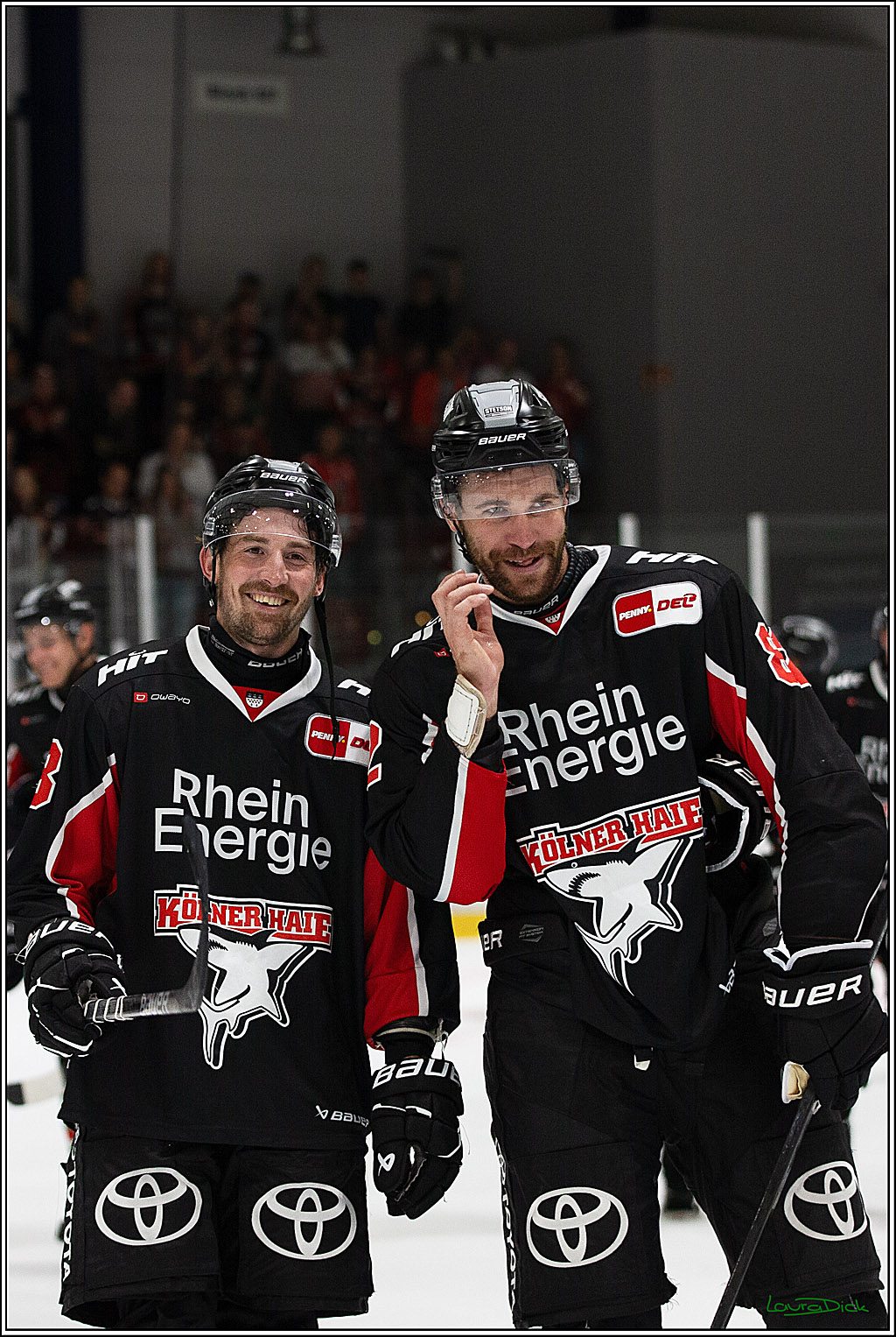 PENNY DEL;Testspiel Koelner Haie- Pioneers Vorarlberg; Koeln, 08.09.2024