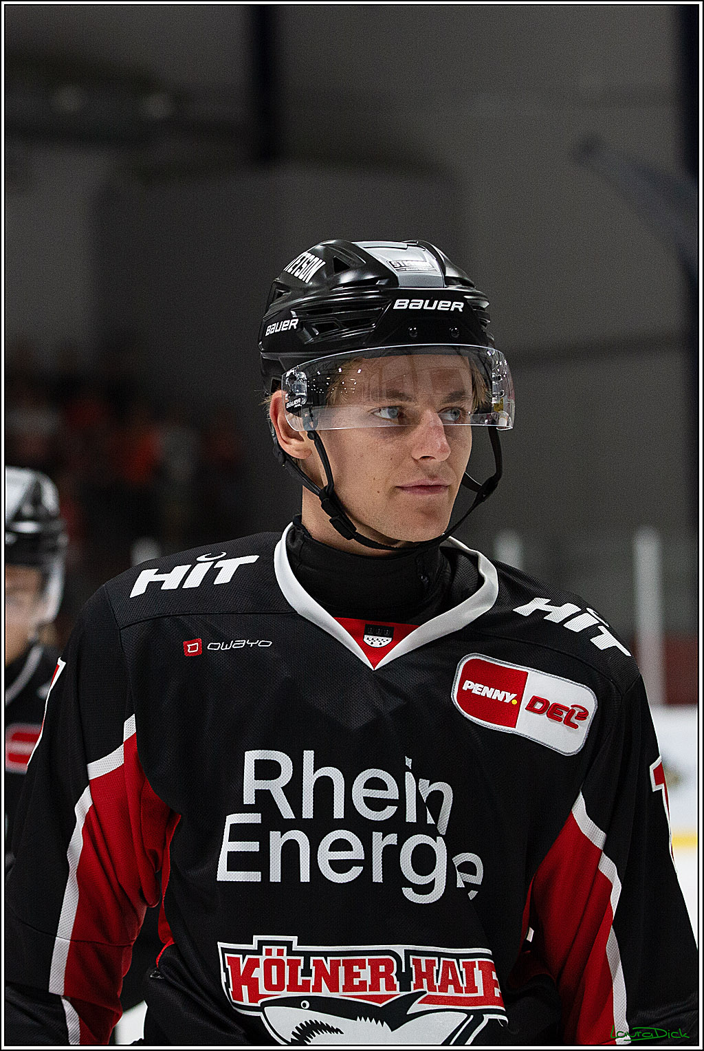 PENNY DEL;Testspiel Koelner Haie- Pioneers Vorarlberg; Koeln, 08.09.2024