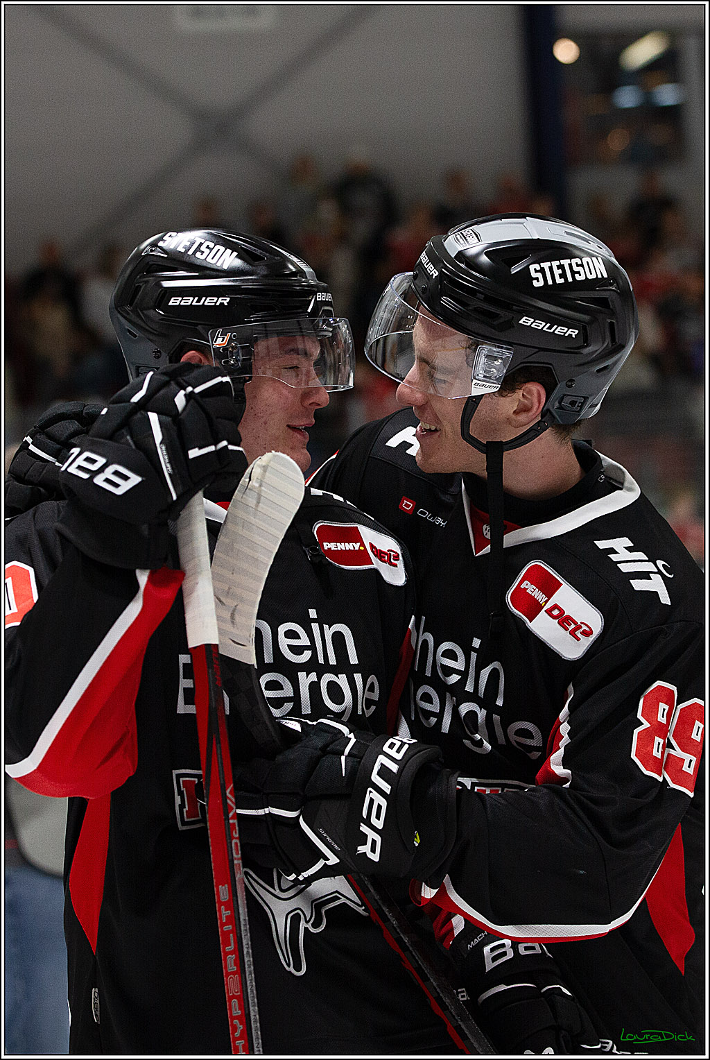 PENNY DEL;Testspiel Koelner Haie- Pioneers Vorarlberg; Koeln, 08.09.2024