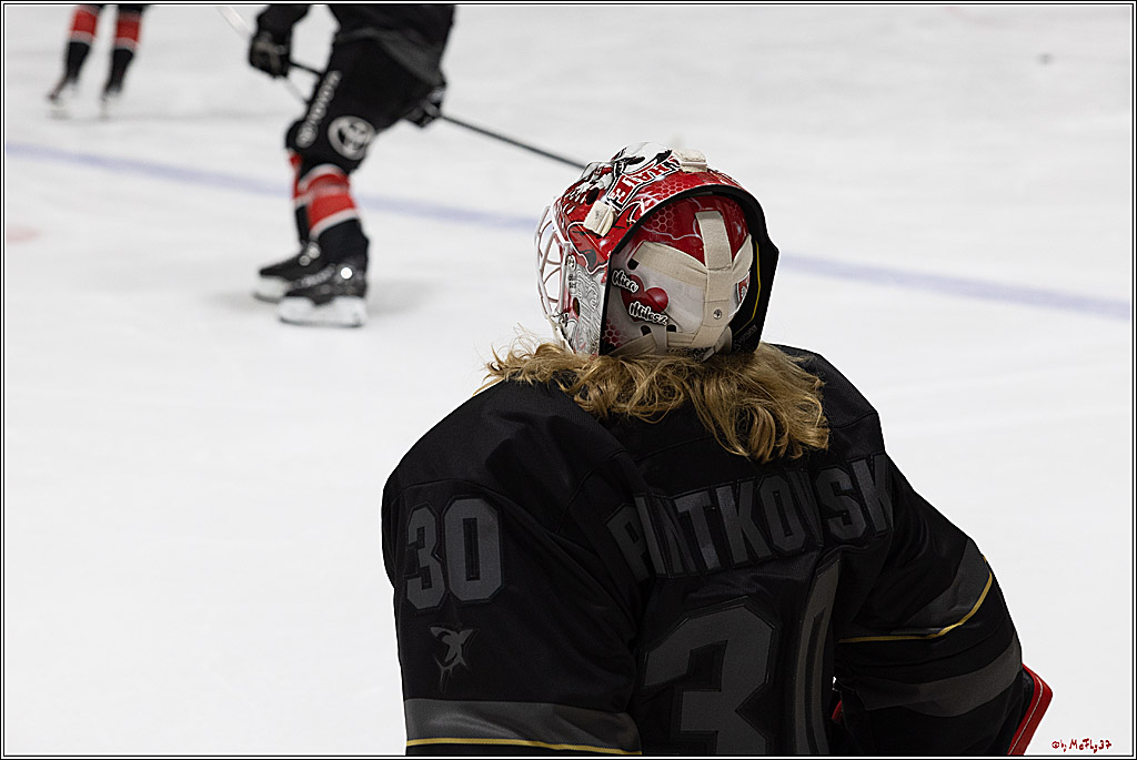 Testspiel Kölner Haie - Iserlohn Roosters 5-4 n.O.TCA; Köln, 13.09.2024